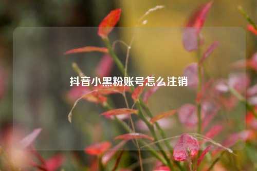 抖音小黑粉账号怎么注销