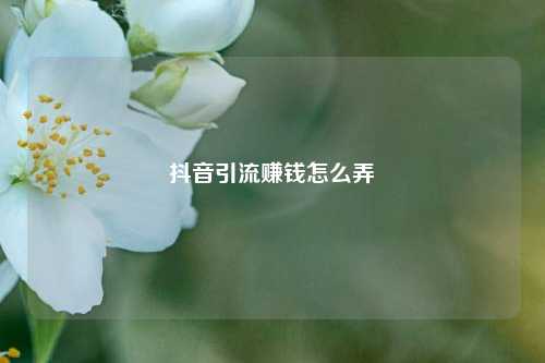 抖音引流赚钱怎么弄