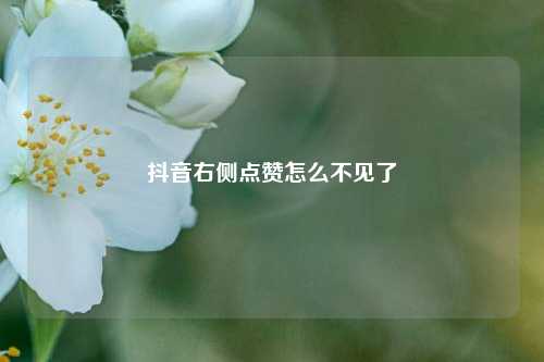 抖音右侧点赞怎么不见了