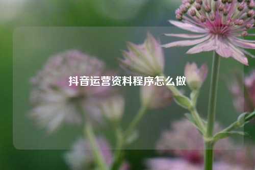 抖音运营资料程序怎么做