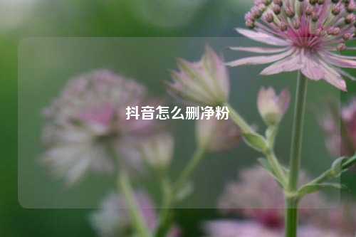抖音怎么删净粉