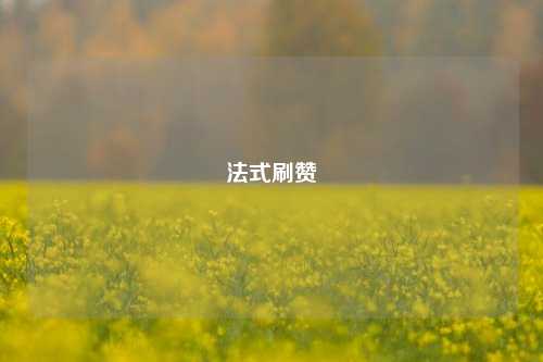 法式刷赞