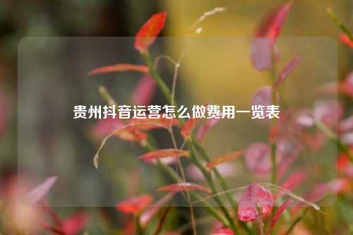 贵州抖音运营怎么做费用一览表