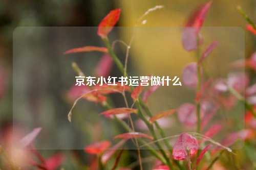 京东小红书运营做什么