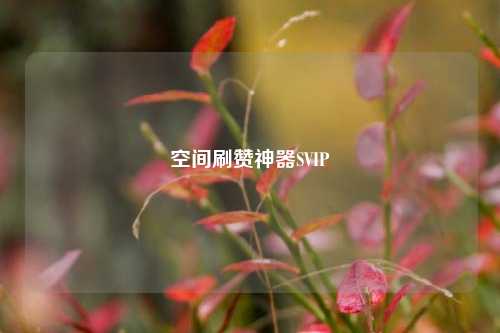 空间刷赞神器SVIP