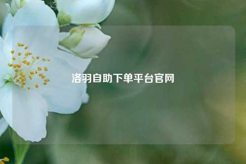 洛羽自助下单平台官网