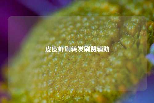 皮皮虾刷转发刷赞辅助