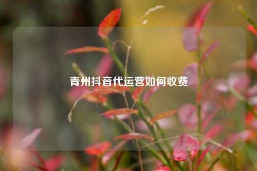 青州抖音代运营如何收费