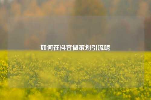如何在抖音做策划引流呢