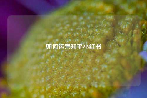 如何运营知乎小红书