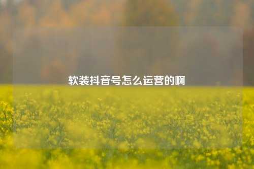 软装抖音号怎么运营的啊